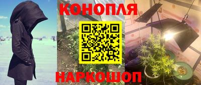 тгк Пушкино