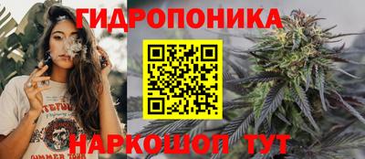шишки Пугачёв