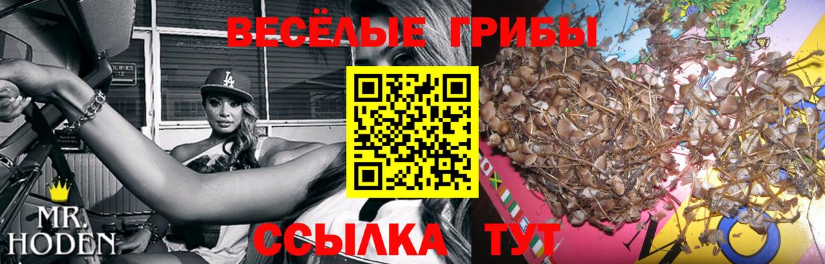 Галлюциногенные грибы MAGIC MUSHROOMS  Вход с VPN  Советск 