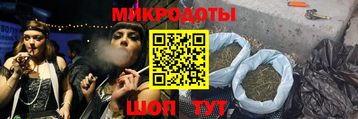 Галлюциногенные грибы Psilocybe Советск